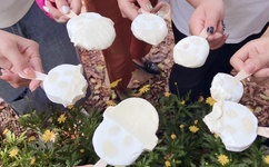 丁香社区成人网